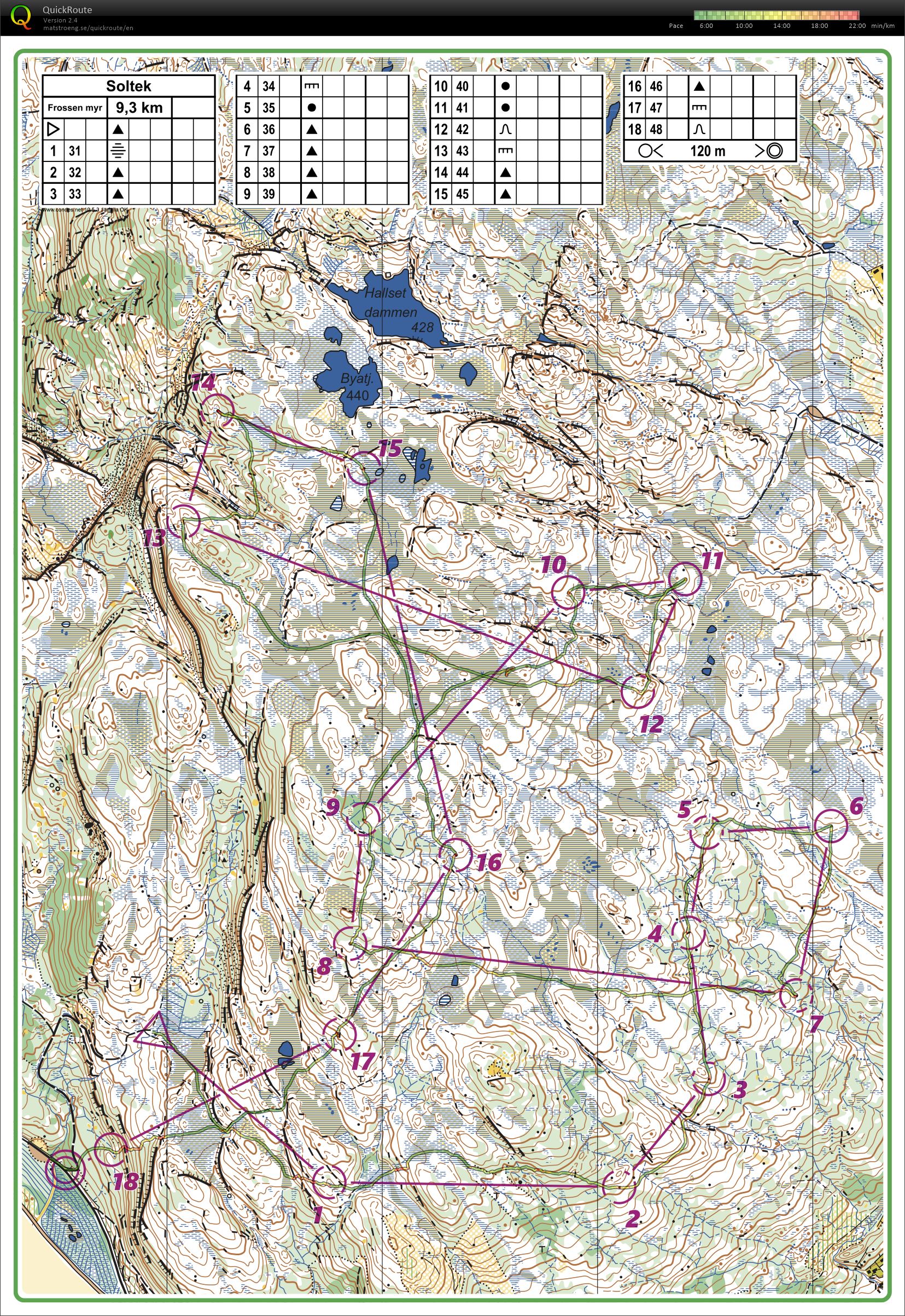 Frusen myr (21/11/2023)