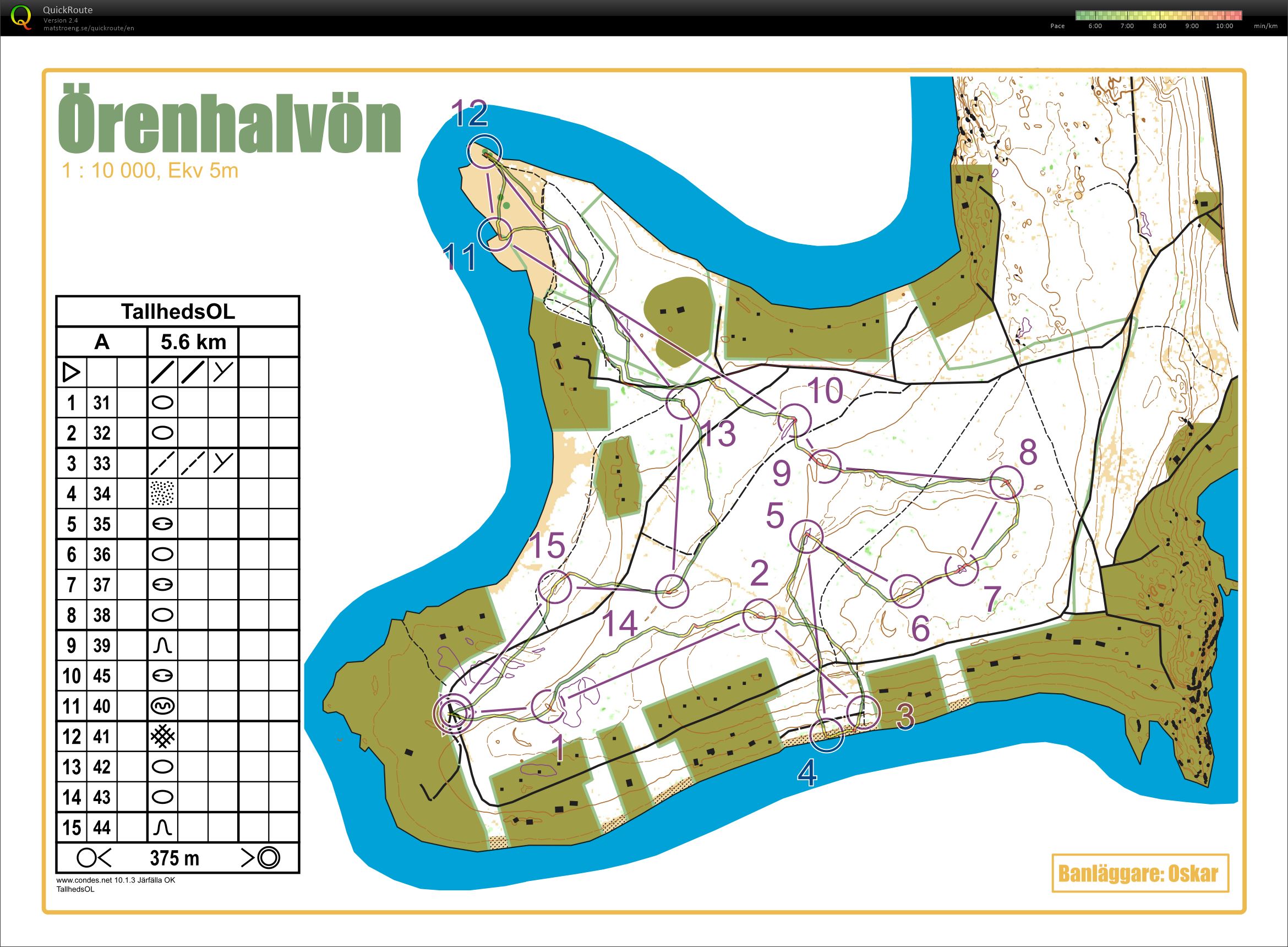 TallhedsOL (17/10/2020)