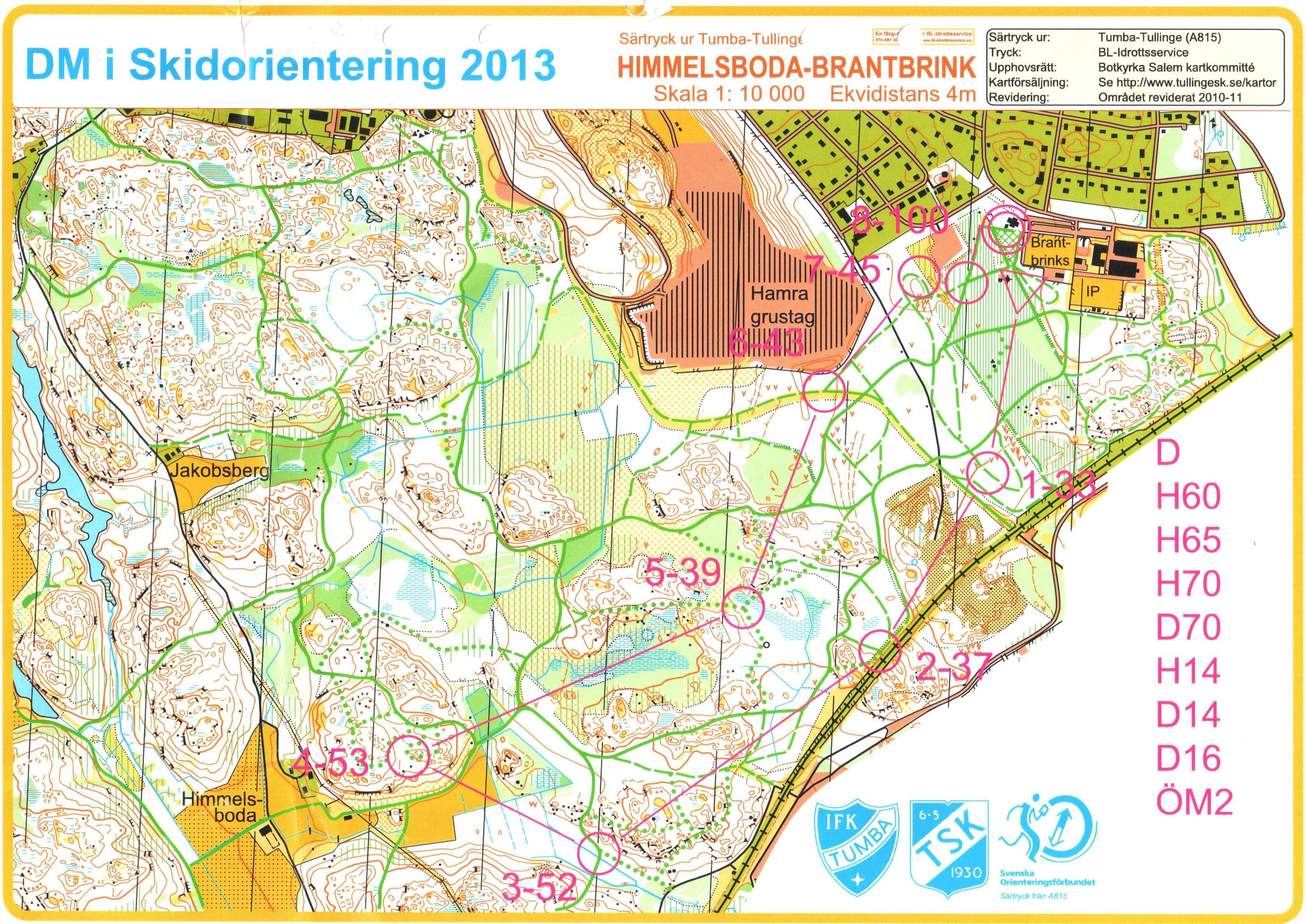 DM Skidorientering (03.02.2013)
