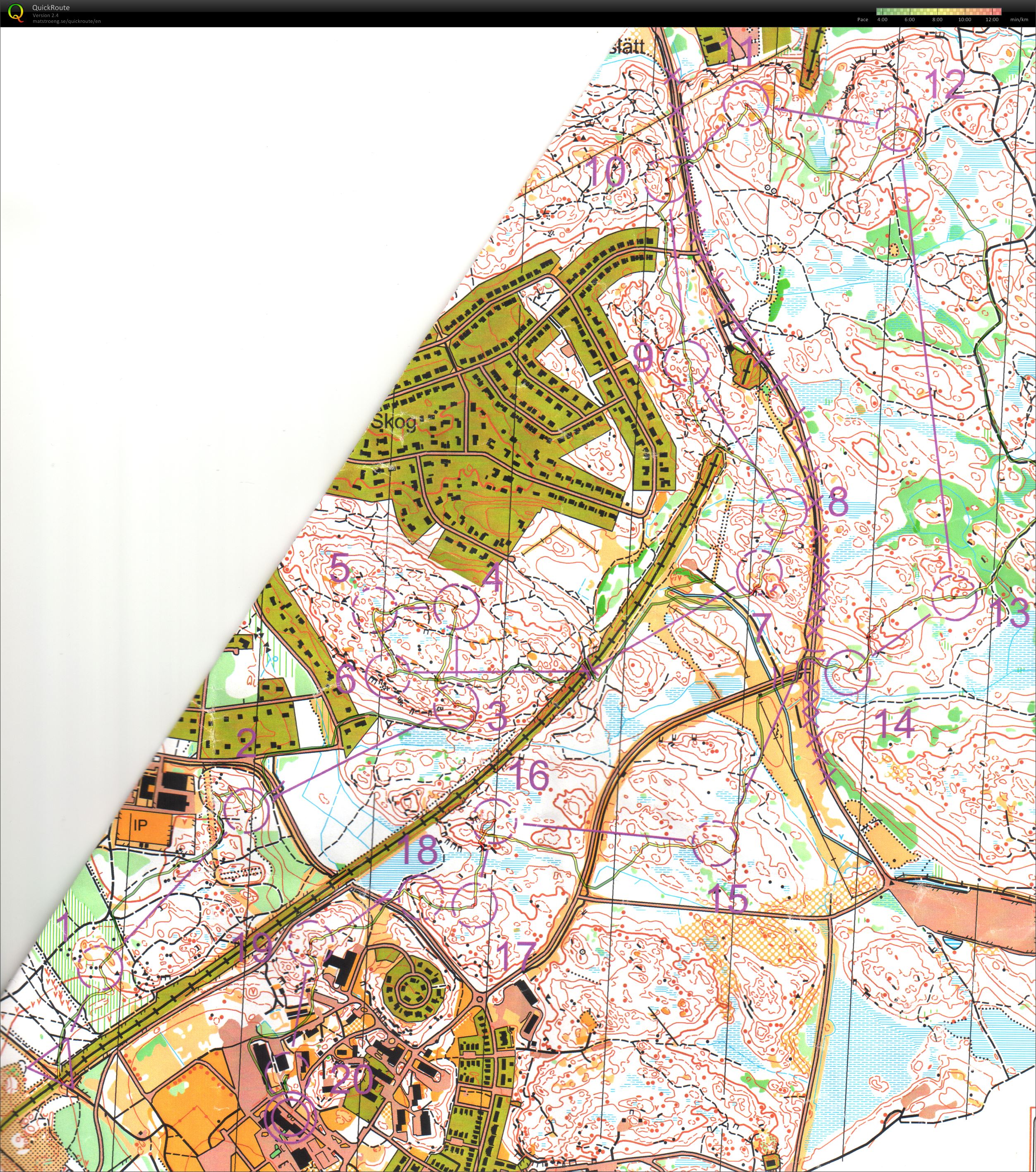 Novembertävlingarna, långdistans (10/11/2013)