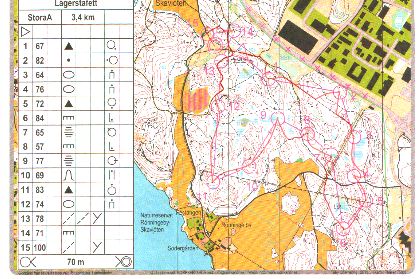 Sommarlägerstafetten (01/06/2014)