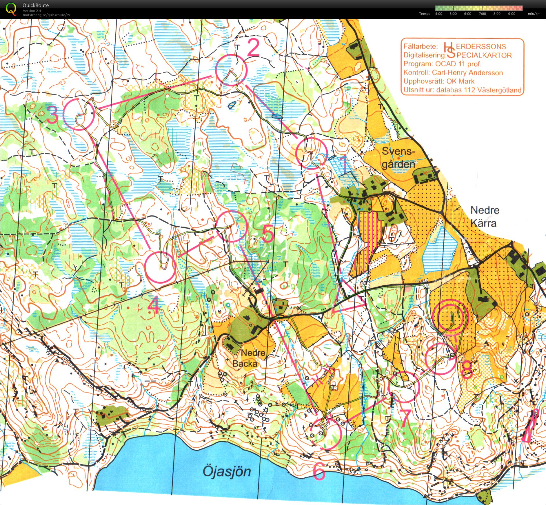 Ungdomens 10MILA (02/08/2014)