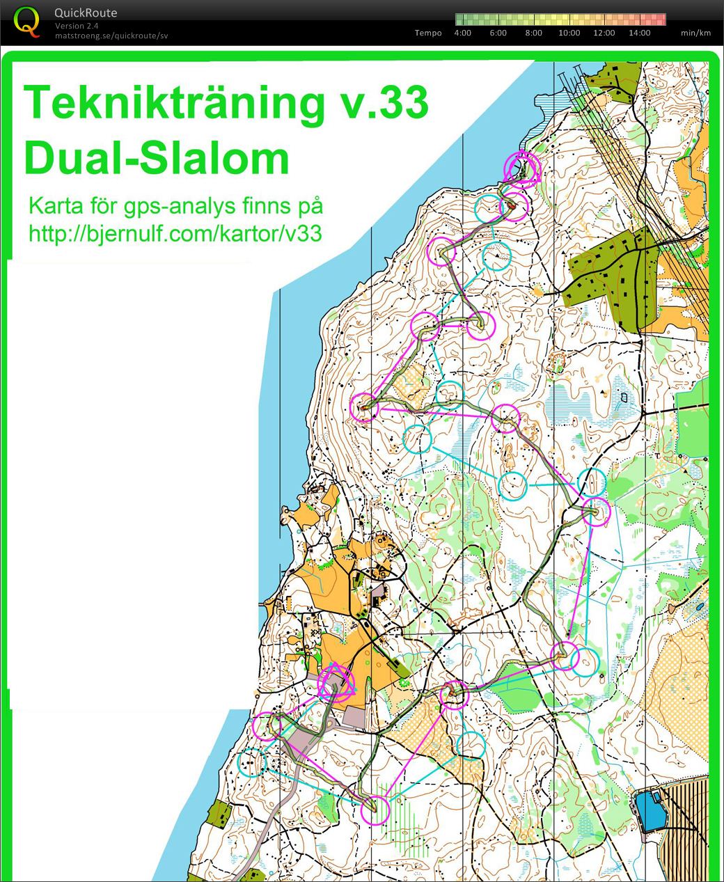 Dual Slalom Bana A (2014-08-14)