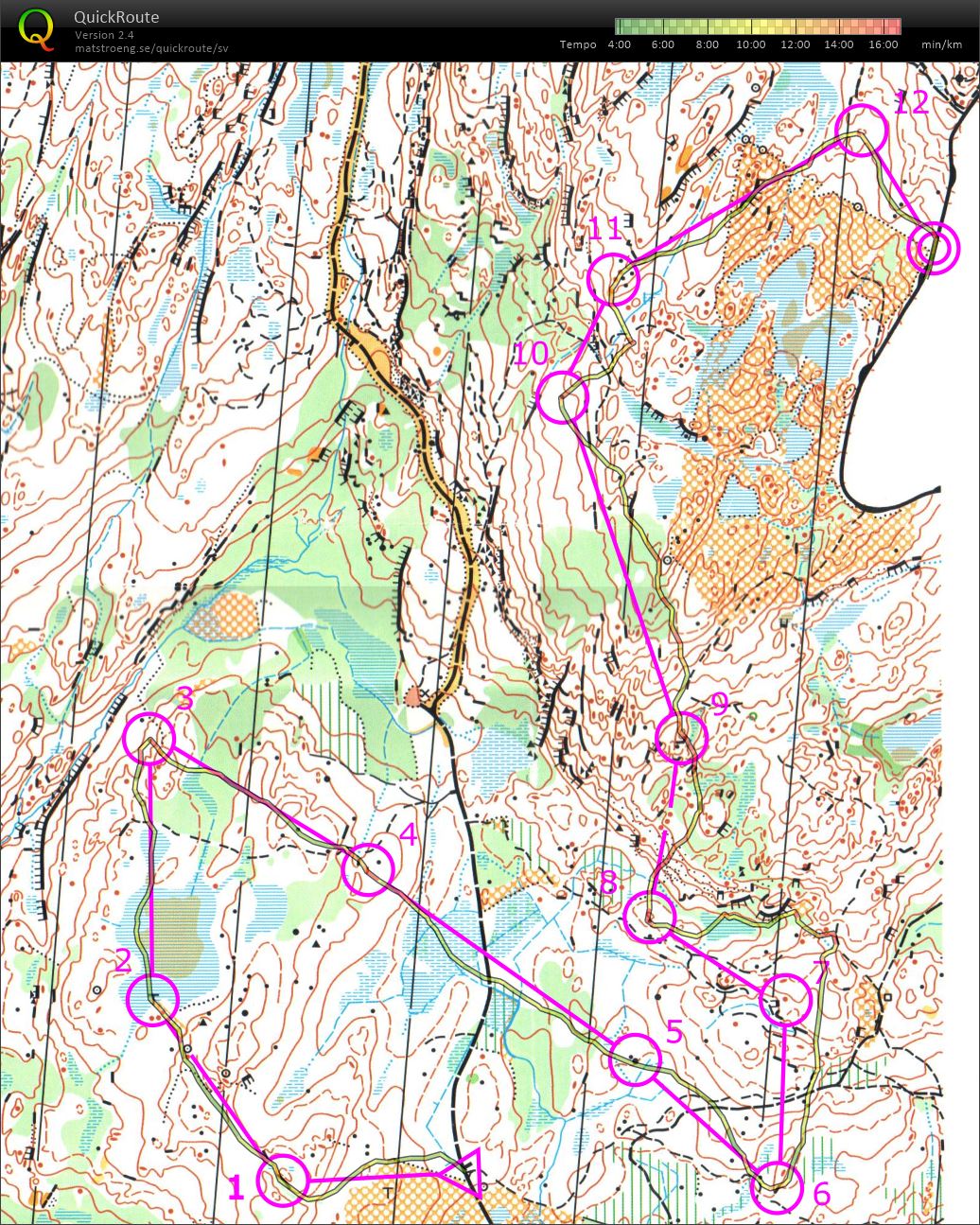 Midsommarträning Valfjället (20/06/2015)