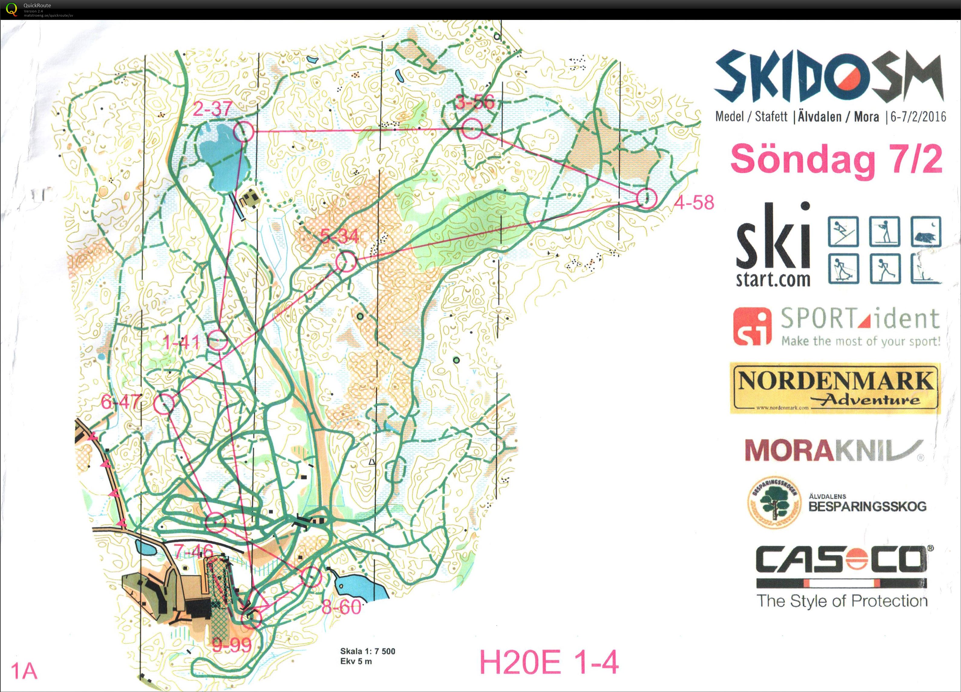 SkidO SM Stafett Sträcka 1 (07/02/2016)