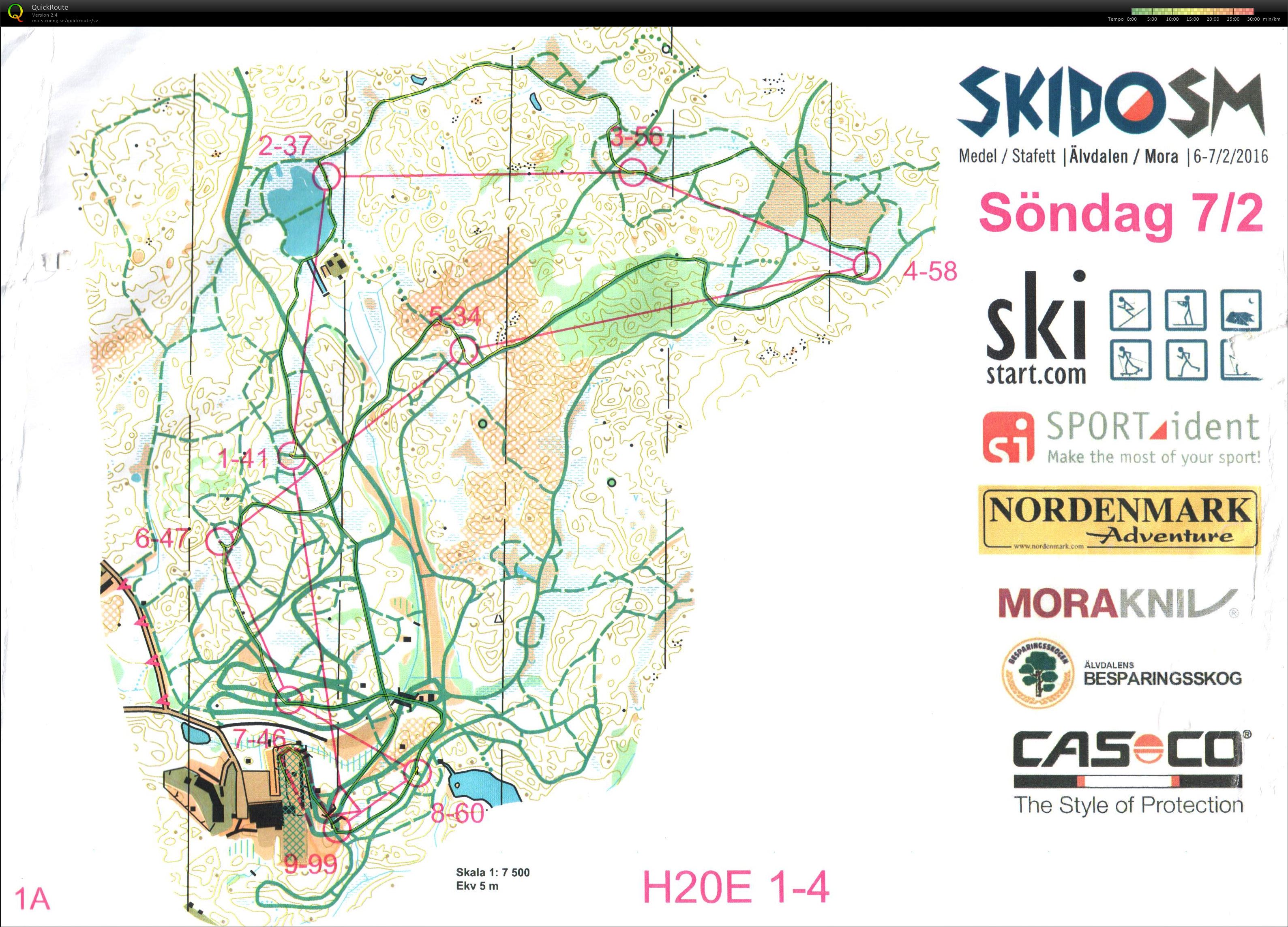 SkidO SM Stafett Sträcka 1 (07/02/2016)