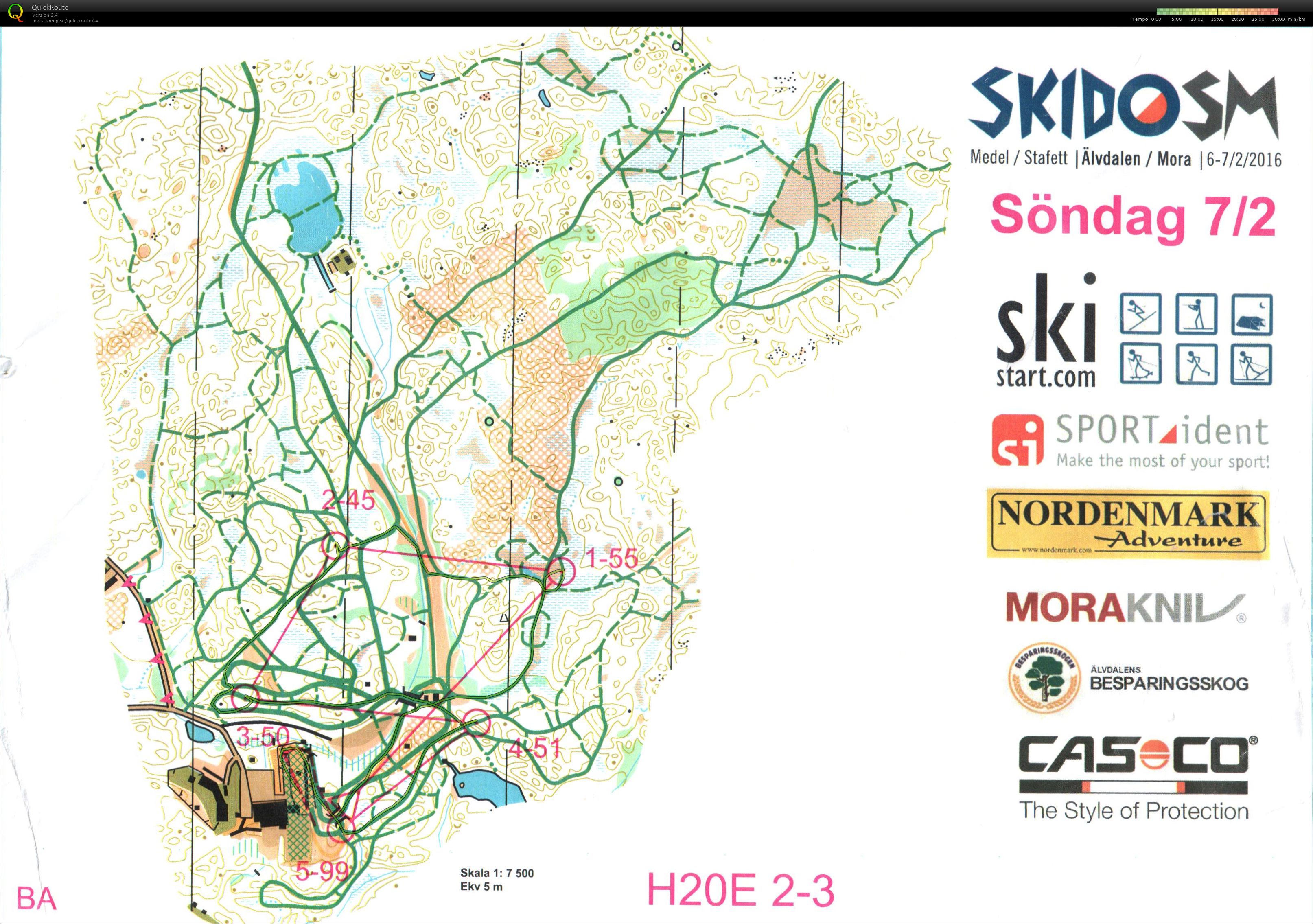 SkidO SM Stafett Sträcka 3 (07/02/2016)